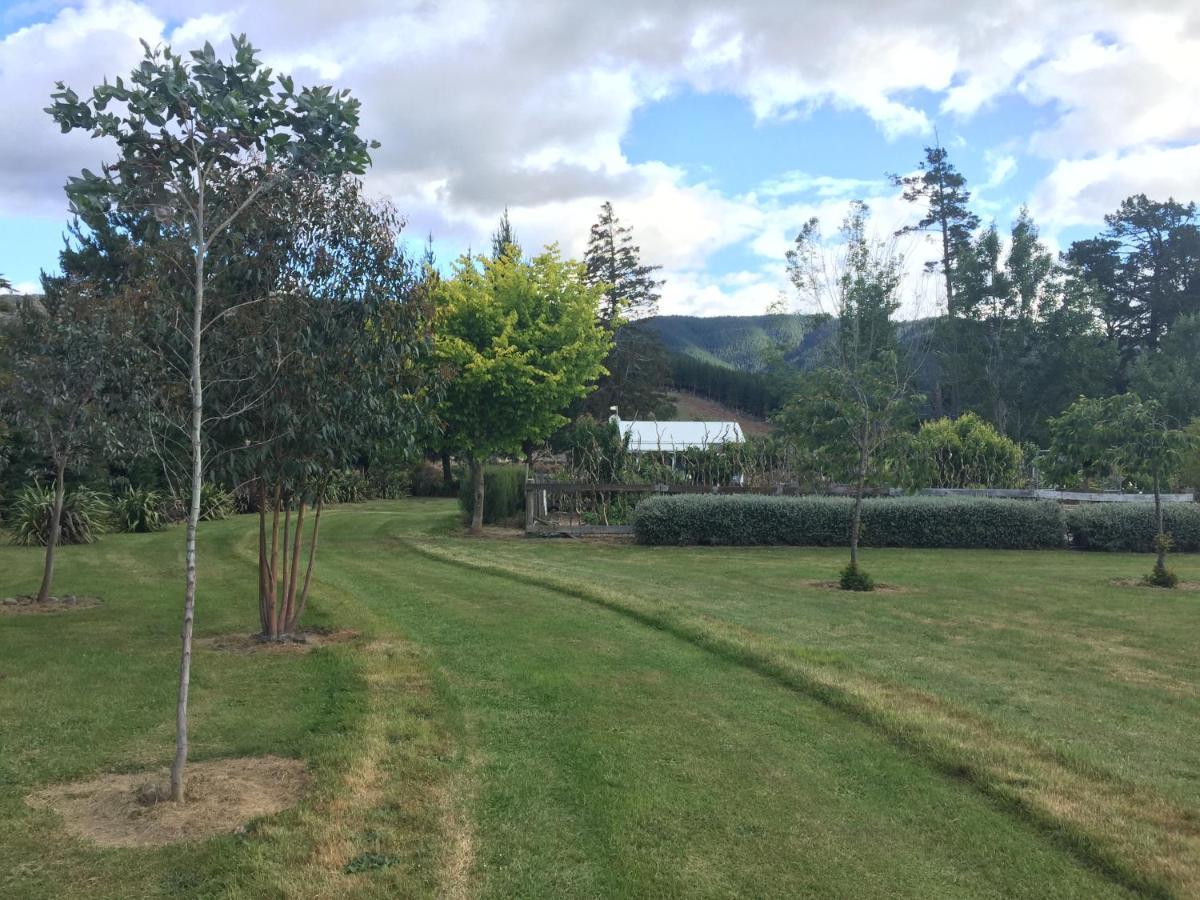 Birch Hill Cottage -30 Minutes From St Arnaud Wairau Valley Экстерьер фото